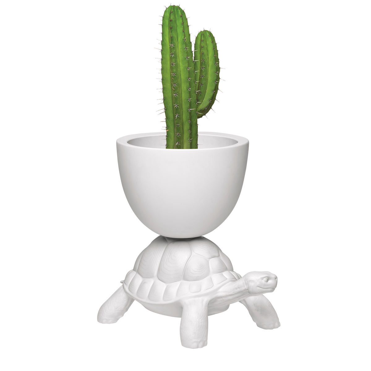 Qeeboo Turtle Carry Planter and Champagne Cooler