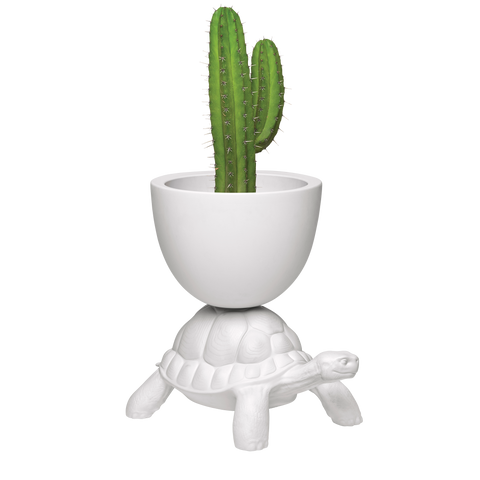 Qeeboo Turtle Carry Planter and Champagne Cooler